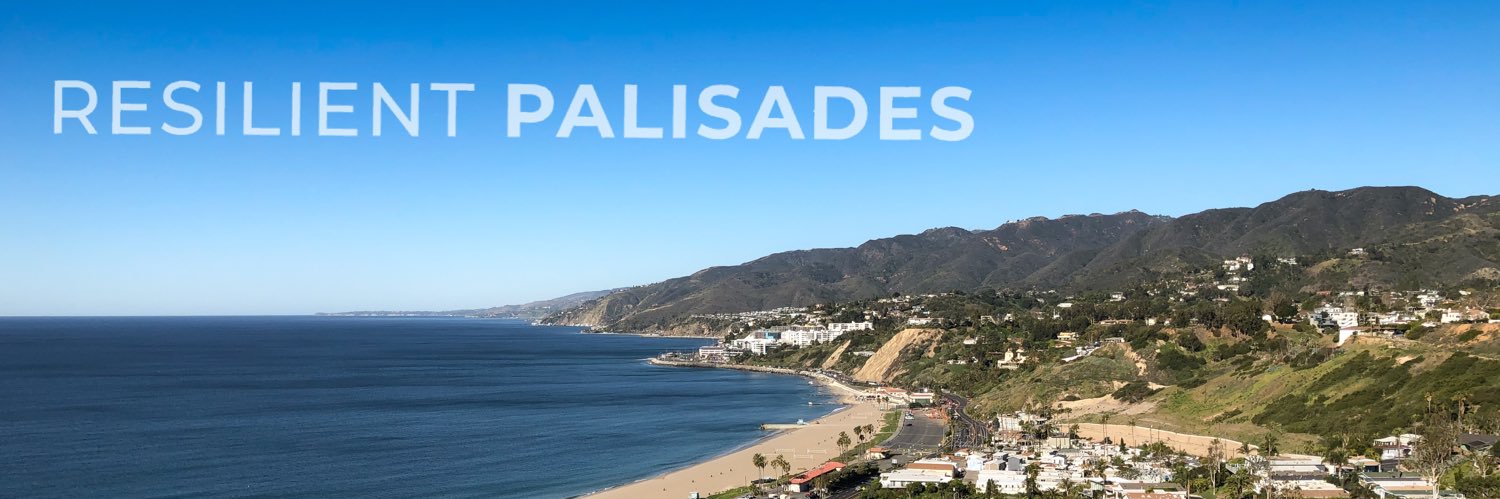 resilientpali's profile banner image