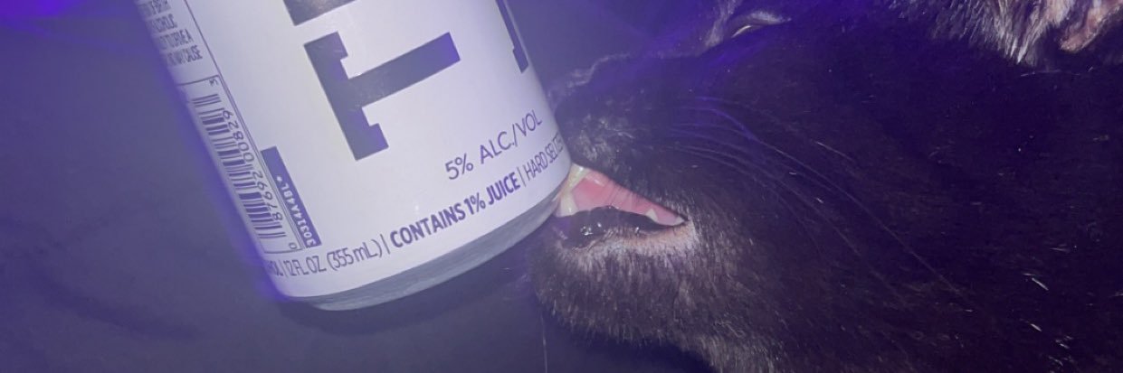 KittenZedd's profile banner image