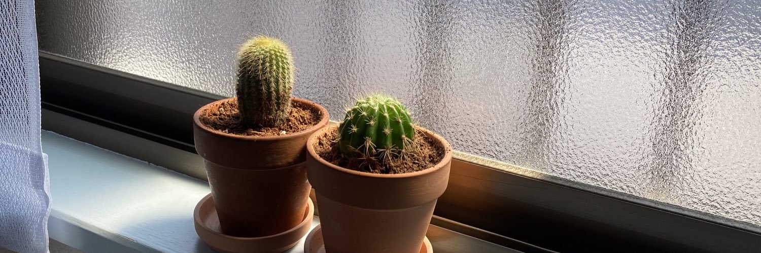 古岡祐樹(ふるおかゆうき) banner