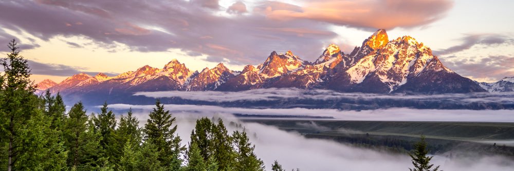 OrrinFrankoMD's profile banner image