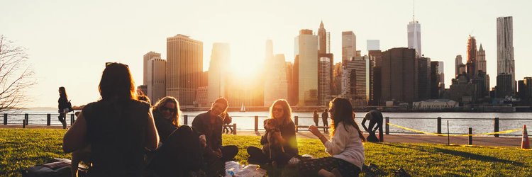 The Friendly Swede banner