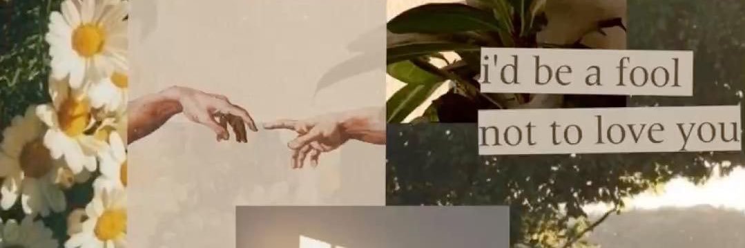 비아디🧸 banner