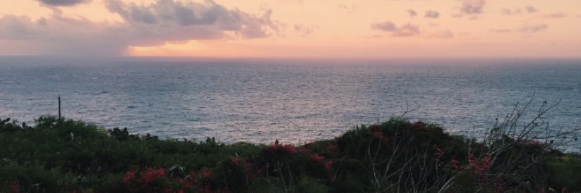 ryrybready's profile banner image