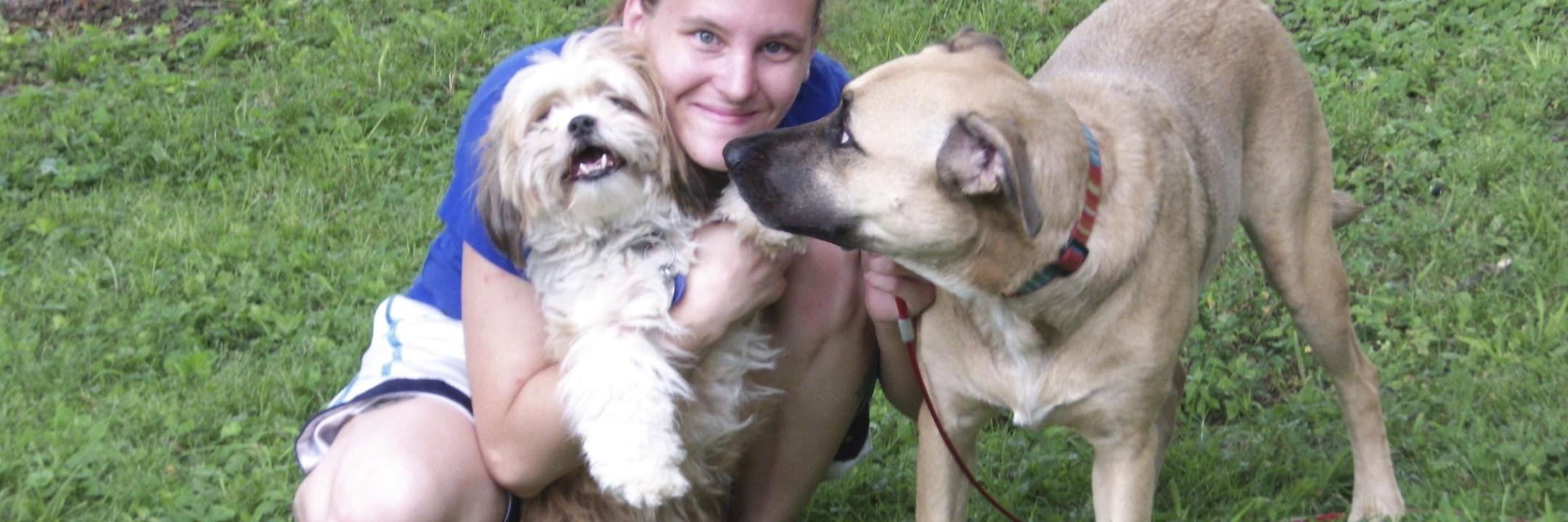 dogwalker2012's profile banner image