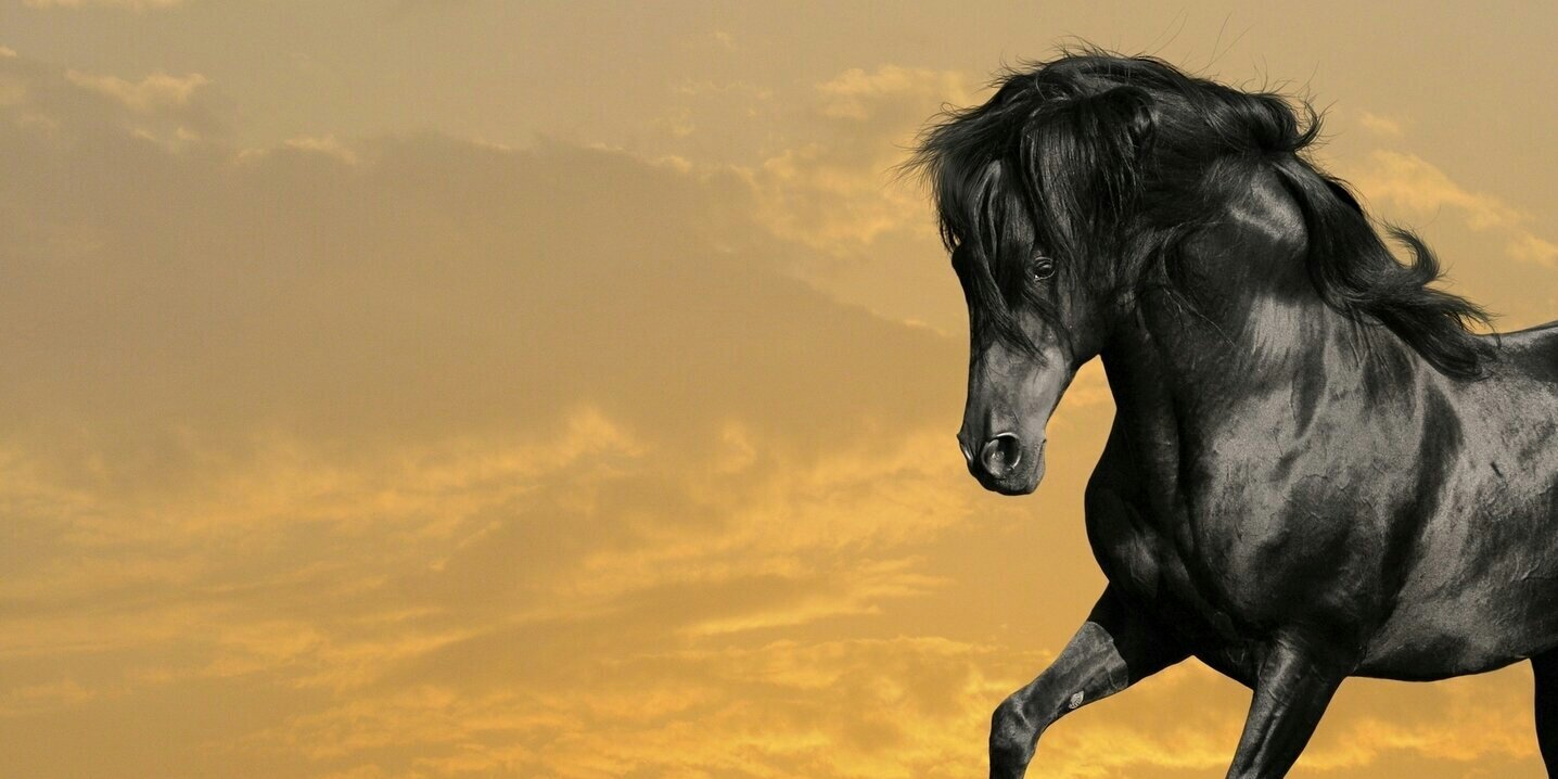 sreedhargss89's profile banner image