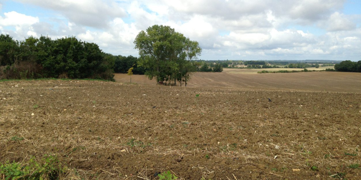 Barbara Barend banner