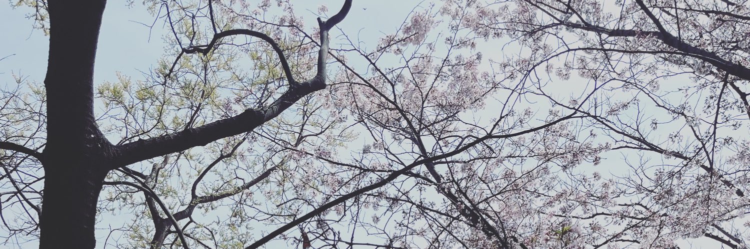 green_tea_1102's profile banner image