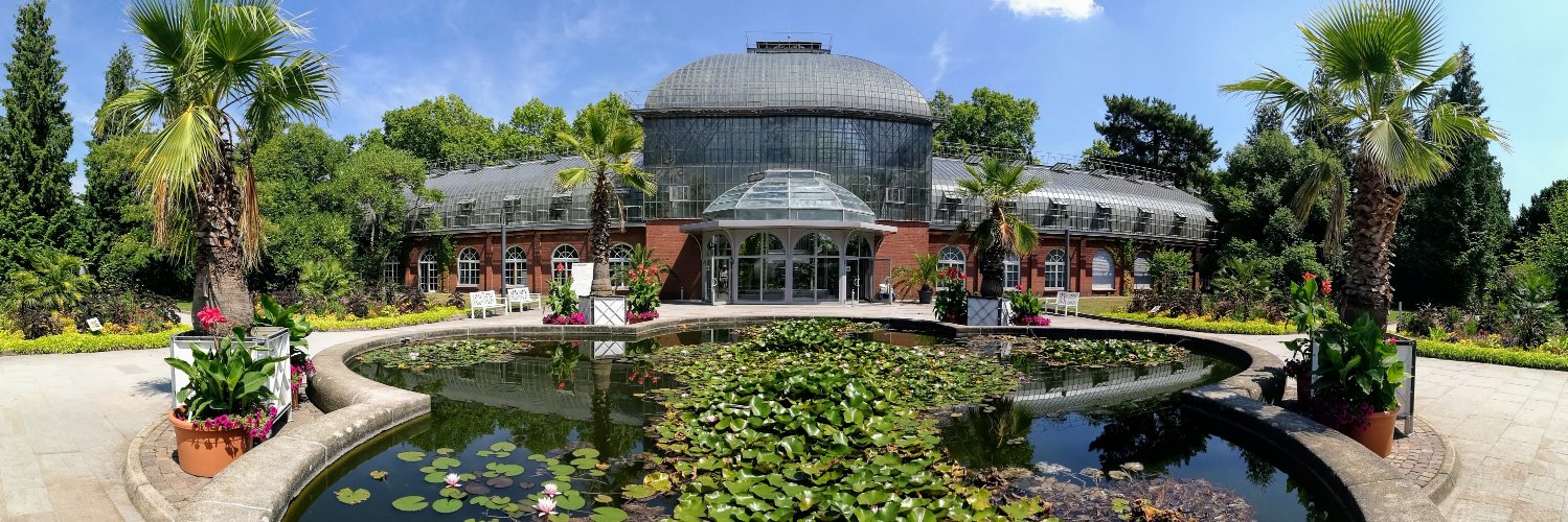 Daniel Weihmann banner