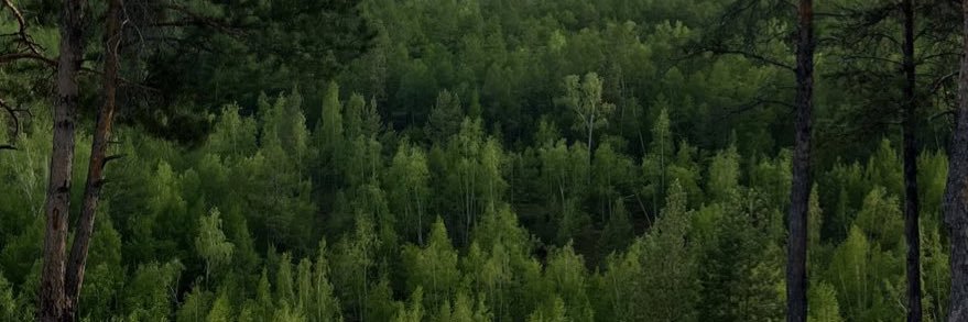 manmayod's profile banner image