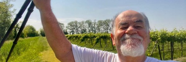 piodalcin Profile Banner