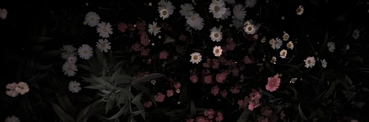 y1F banner
