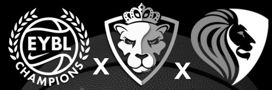 2StepUniversity_ banner