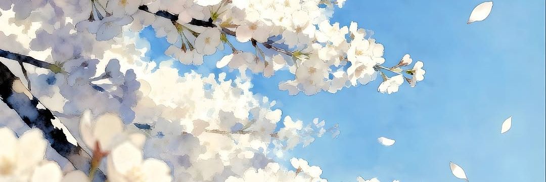 Carla - Noke7 banner