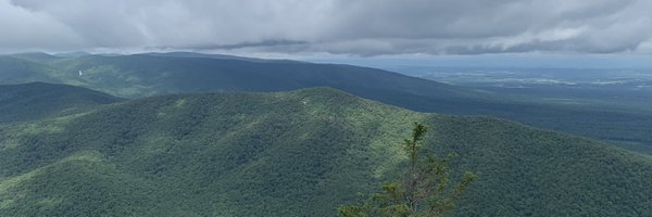 AmandaLongDO Profile Banner