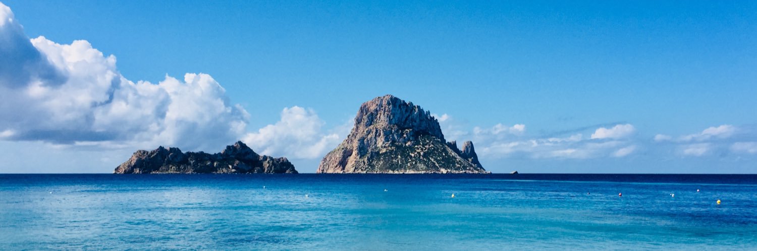 David Forcada Rifà banner