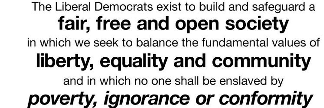 Tunbridge Wells Liberal Democrats 🔶️ banner