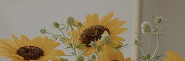 design_oldriver Profile Banner