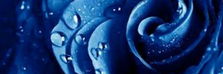 BilsekSB's profile banner image