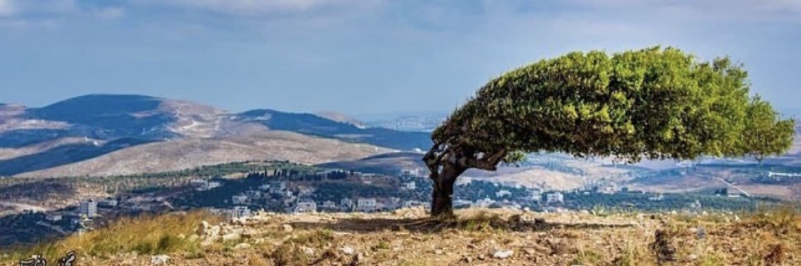 lovemeAllah's profile banner image