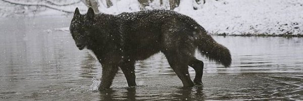 Carpediemm333 Profile Banner