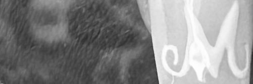 YoungDeluxee's profile banner image