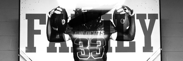 borosvskis Profile Banner