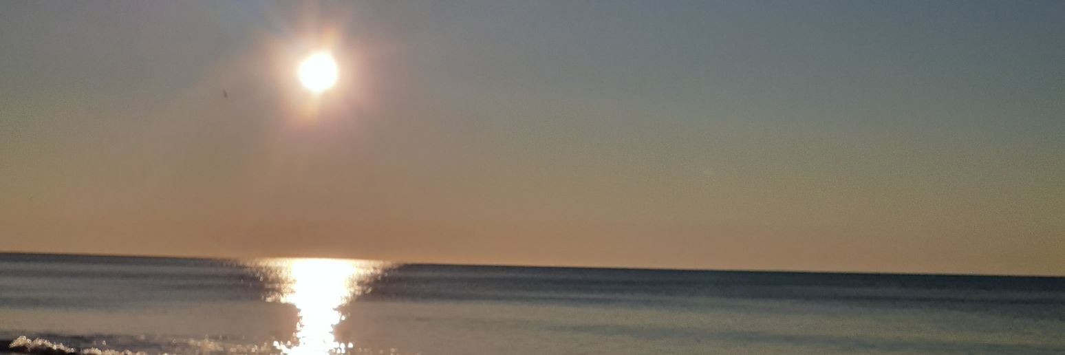 Simplii_lele's profile banner image