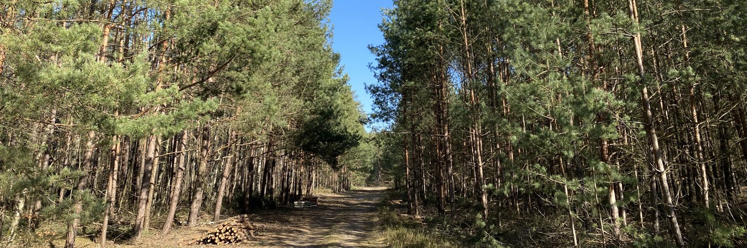 Andrzej Krzywda po polsku banner