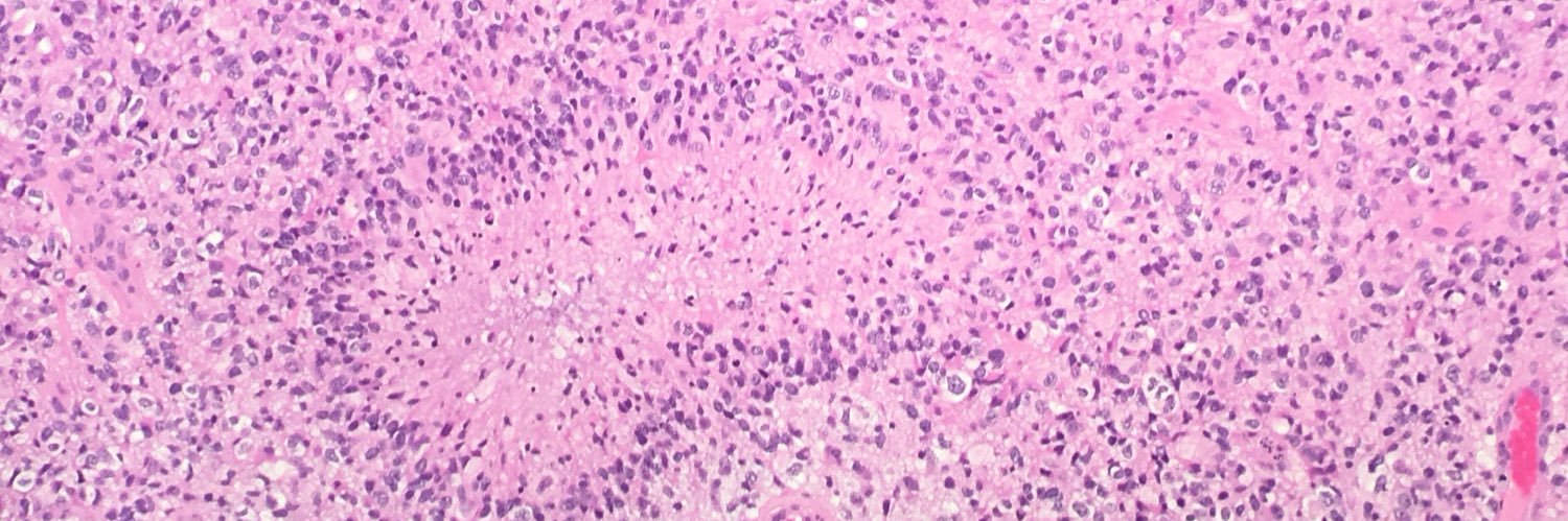 Maria Martinez-Lage, MD (she/her/ella) 🏳️‍🌈 banner