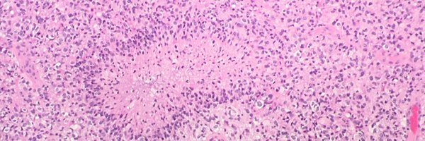 mlage Profile Banner