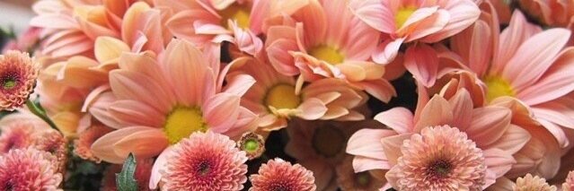be_bechan_s's profile banner image