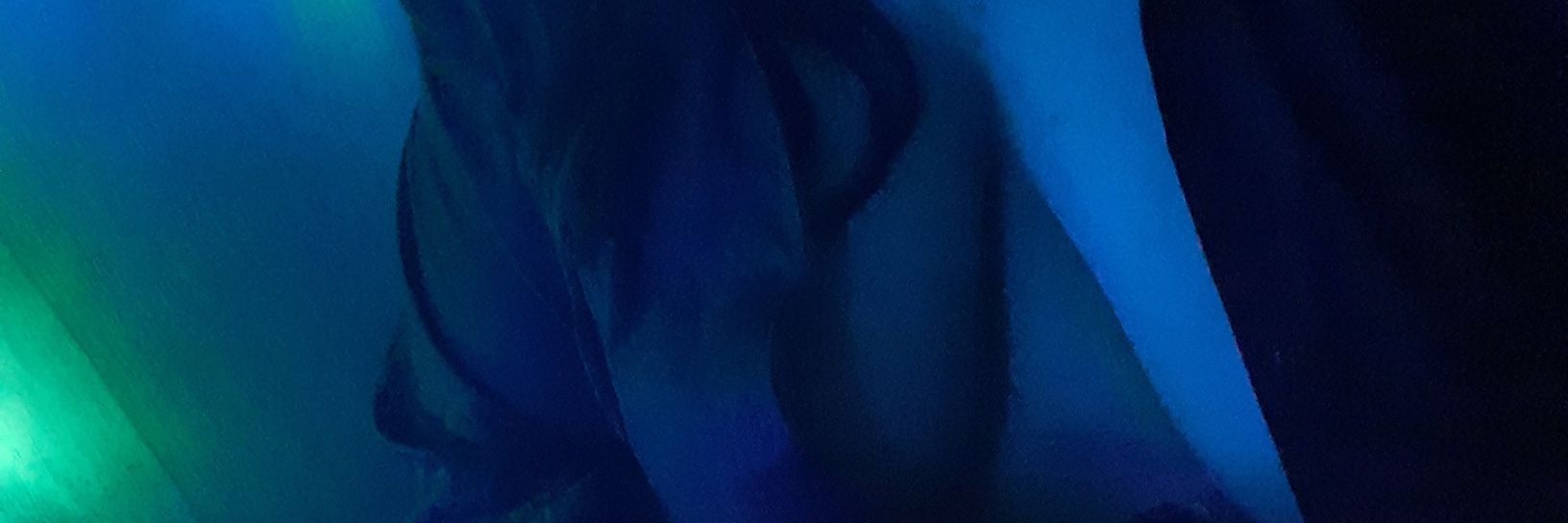whosJustAnna's profile banner image