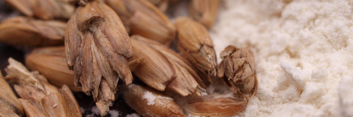 Cathy & YvonneWhitty banner