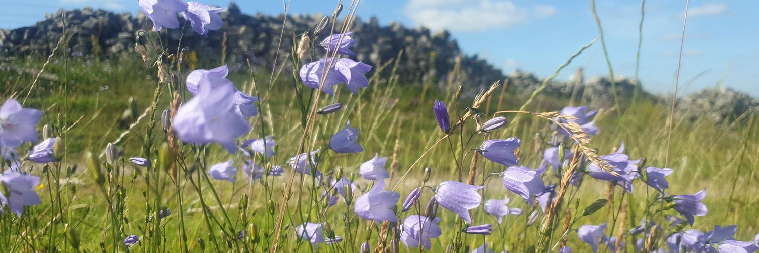 Bex Atkinson 🔶️ banner