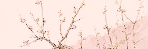sw3etbella's profile banner image