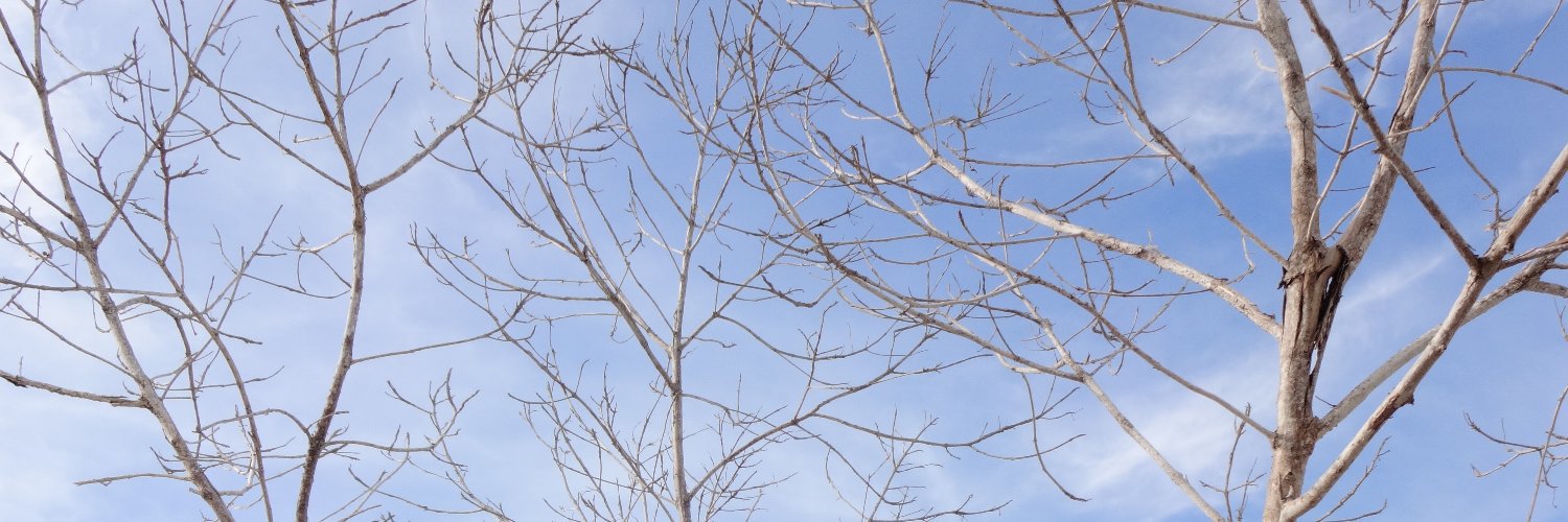 dianasaptam's profile banner image