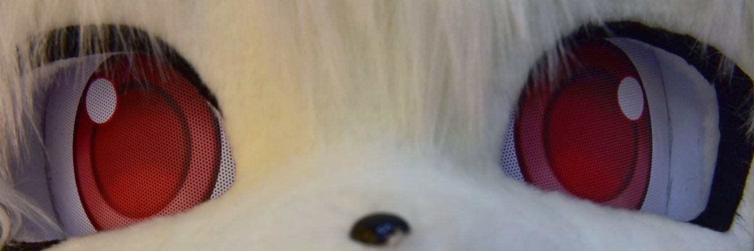 Rabbit Momo banner