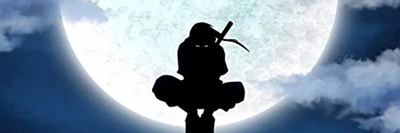 Lorenzo Ferrera banner