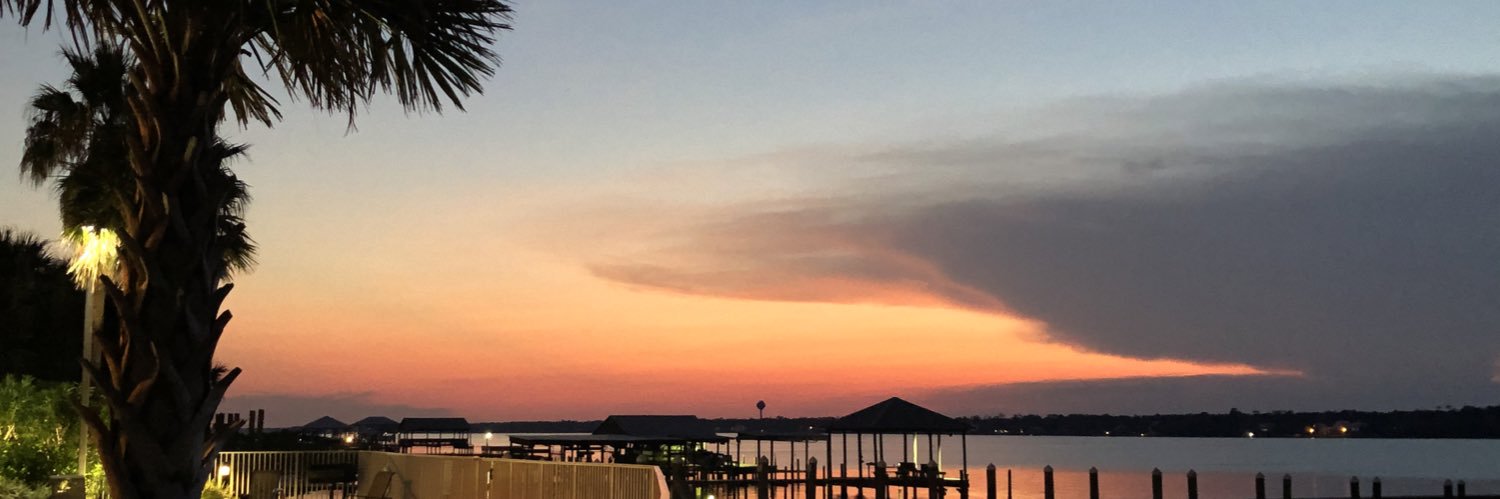 Brady Robertson banner