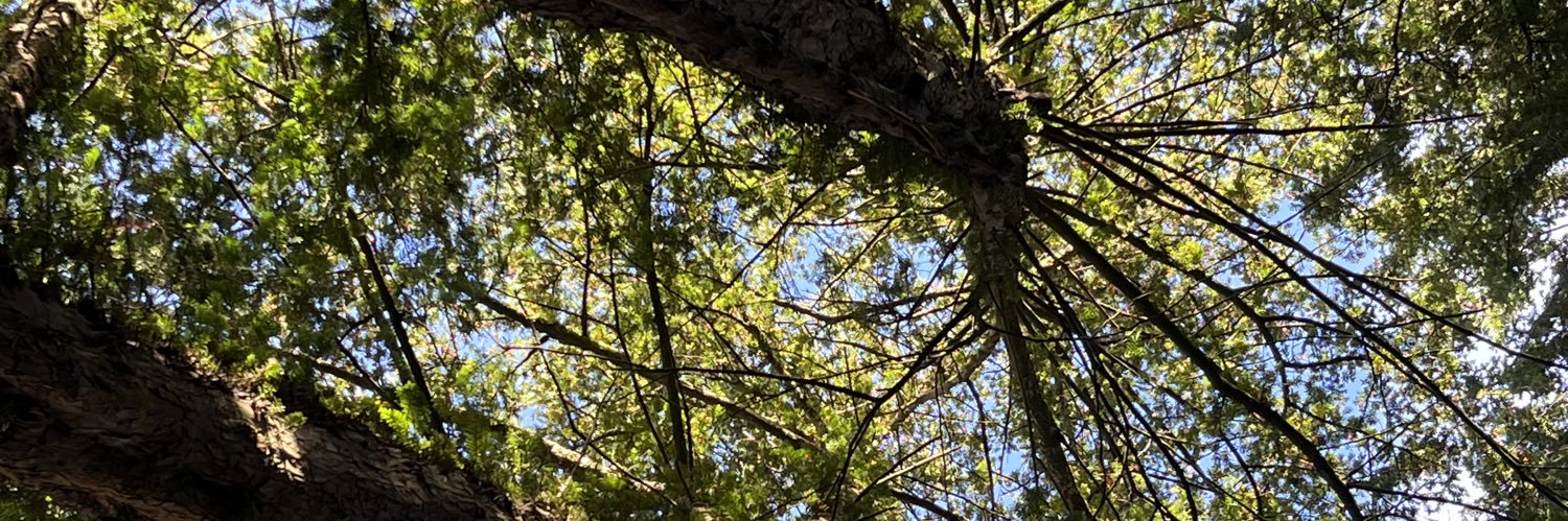 LogonZoon 🇬🇧 🇷🇺 banner