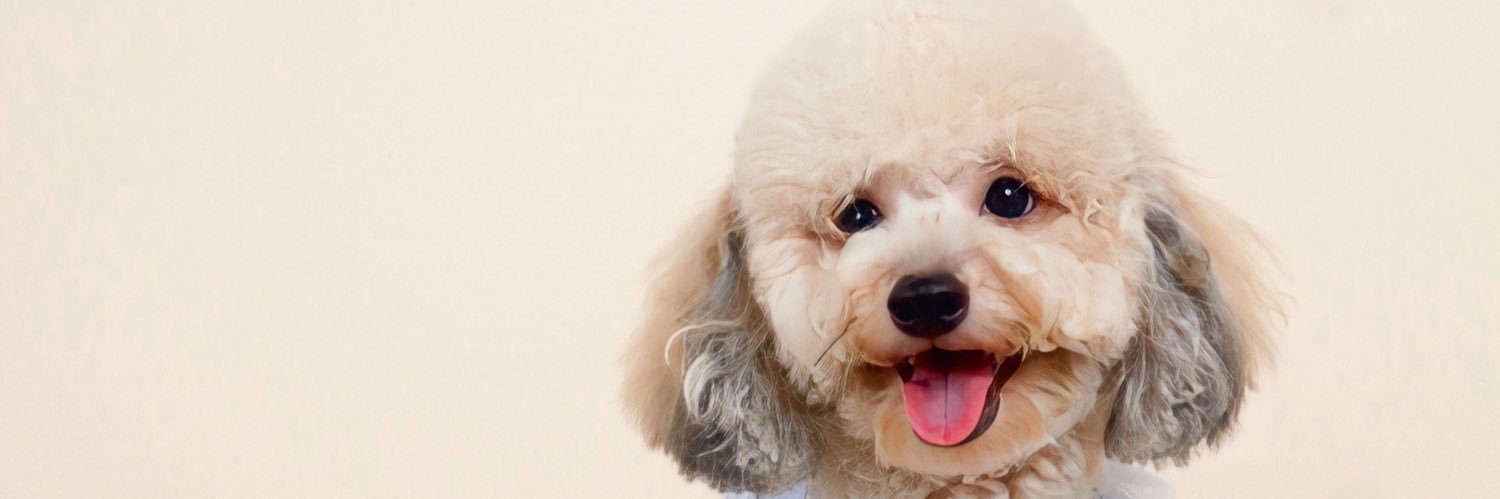 penosokym's profile banner image