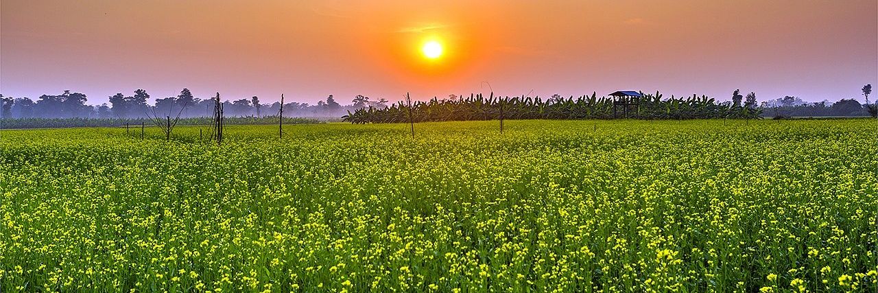 ਮਨਦੀਪ ਸਿੰਘ ਧਾਲੀਵਾਲ - Mandeep Singh Dhaliwal banner