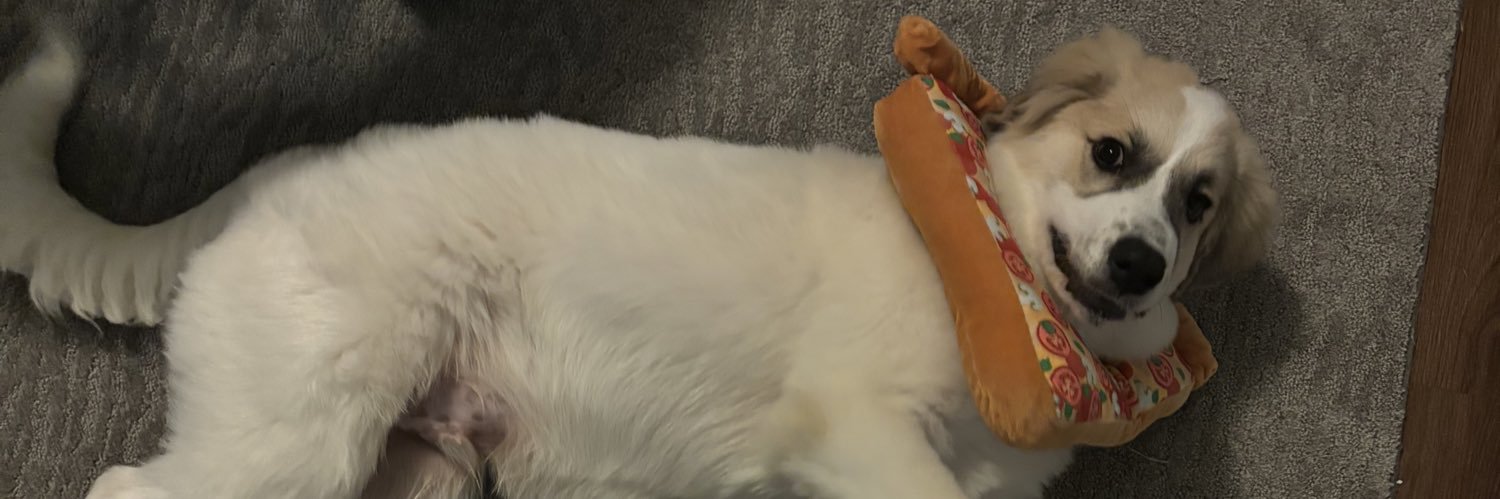 dbakes3's profile banner image