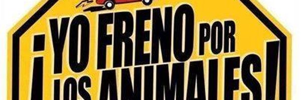 DALENADEPERU Profile Banner