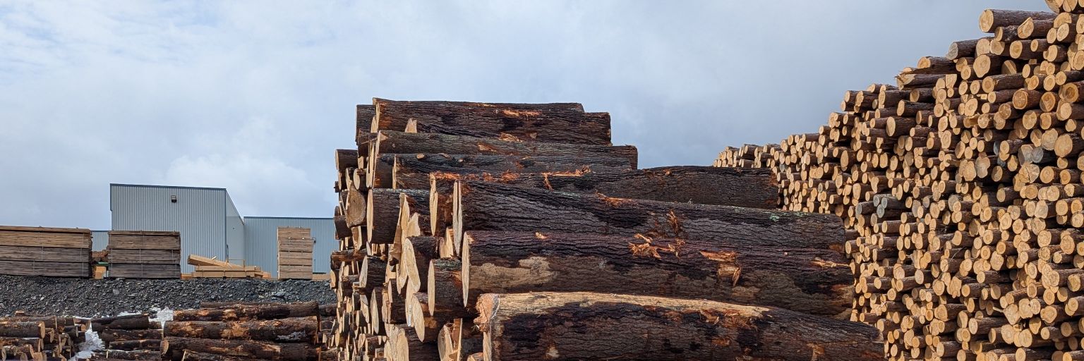 ForesterMike1's profile banner image