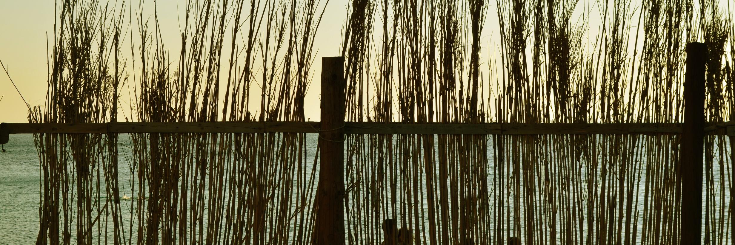 Katerina Kosta banner