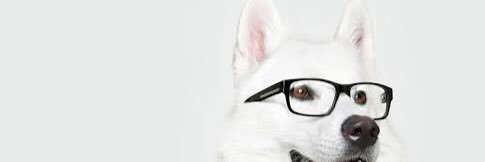 vaLennLenD's profile banner image