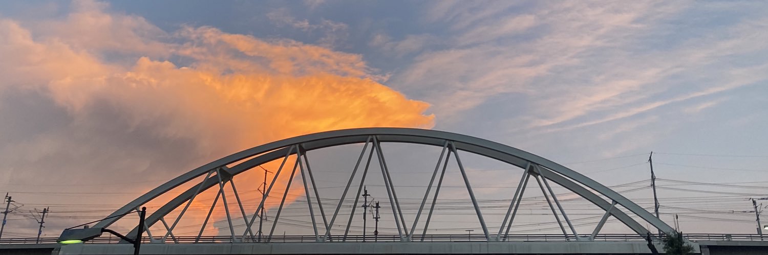carpiette's profile banner image
