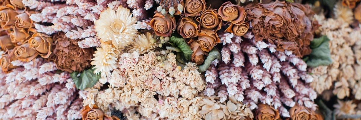peonylim's profile banner image