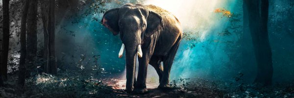DeepakA87912133 Profile Banner